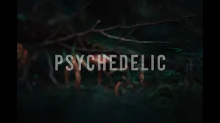 Psychedelic Session 2023 (Episode 13  Psytrance mix )