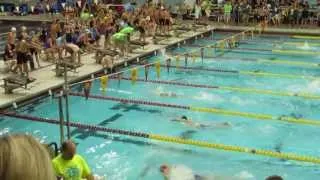 200M Freestyle Relay 2013 MN State Swim Championships 11-12 yr old boys