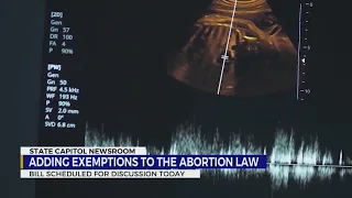 Adding exemptions to the abortion law