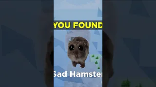 How to find Sad Hamster in Find The Memes