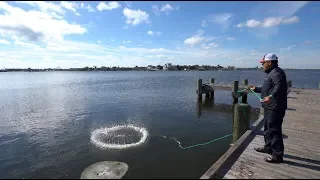 (S3 Ep40) Bank Fishing Galveston Texas