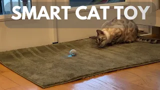 Smart Interactive Cat Toy Review