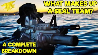 WHAT MAKES UP A SEAL TEAM?