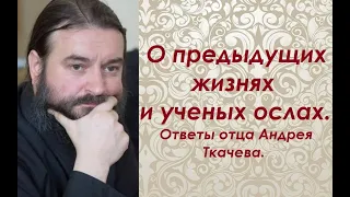 О предыдущих жизнях и ученых ослах. Ответы отца Андрея Ткачева.