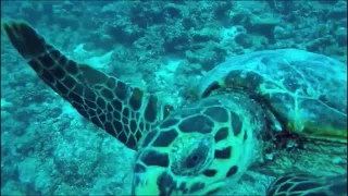 Video reflection One&Only Reethi Rah, Maldives by Denise Völler