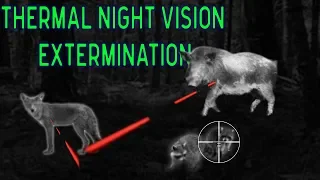 THERMAL Night Vision Hunting EXTERMINATION | 5 Animals Down with 9mm Tracer Bullet