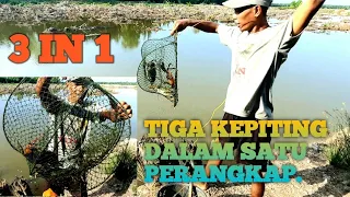 Dapat banyak kepiting jumbo,satu perangkap tiga kepiting ~ Bintang Samboja.