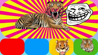 CUTE ANIMALS : TIGER,LION,cat tiger ,bison, kuda , cute puzzle animals