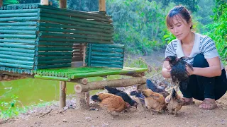 Rebuilding chicken nests, building wooden houses for chickens - Life in my free camp