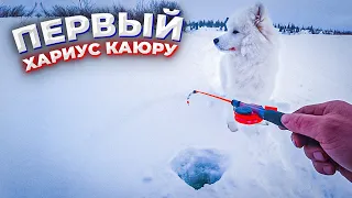Закрытие сезона 2021-22 хариусом /Настёна ловит КАЮР в теме !Рыбалка весной
