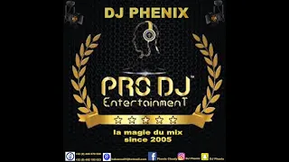 Ariel Sheney-Ghetto DJ Phenix Remix