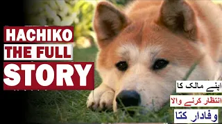 Hachiko The Full Story of a Loyal Dog  Sad Story of Hachiko - Dog Who Waited 9 Years for His Owner