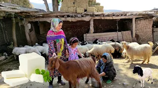 Nomadic lifestyle in Iran | cheese making in a rural style |  rural lifestyle in iran