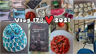 Vlog 178/21 - obrnění, malování a přezutí