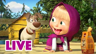 ماشا والدب 👱‍♀️ LIVE STREAM! 🌟 أعز أصدقائي 👧🐻 Masha and the Bear