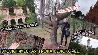 Налибокская пуща🌲Экологическая тропа Белокорец🗺Заброшенный санаторий и усадьба Тышкевичей