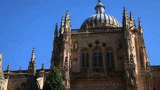 Cathedral of Salamanca, Hossios Loukas, Temple of Ananda | Wonders of the world