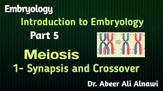 (5) Embryology/Introduction - Part 5- Meiosis : 1-Synapsis and Crossover/Dr. Abeer Ali Alnawi