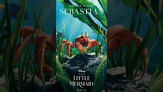 Little Mermaid Poster Halle Bailey Ariel The Little Mermaid Disney Black Little Mermaid Trailer CNN
