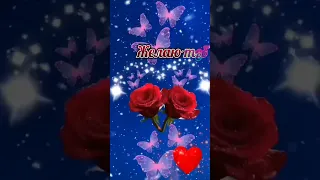 для Танечки🌹