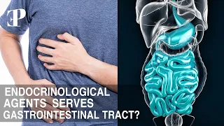 How Endocrinological Agents Serves Gastrointestinal Tract?