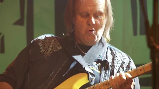 WalterTrout with Supersonic Blues Machine