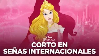 Descubriendo La Bella Durmiente en señas internacionales | Disney Princesa