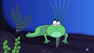 Tadpole Blues