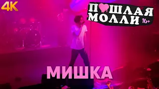 ПОШЛАЯ МОЛЛИ — Мишка (feat vs. KATERINA) | 21.02.2020 НИЖНИЙ НОВГОРОД