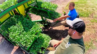 PLANTING EVERYTHING WITH A WATER WHEEL TRANSPLANTER