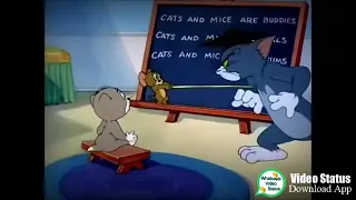 Tom and Jerry comedy video