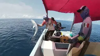 De buen tamaño salieron estos TIBURONES, INCREIBLE!!