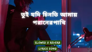 tui jodi chinti amay poraner pakhi(Slowed x Reverb)|তুই যদি চিনতি আমায় পরানের পাখি|S I Tutul|Lyrics