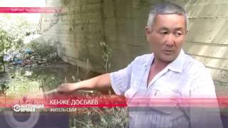 Шакалы взяли в осаду жителей кыргызского села