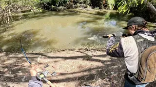 The Barramundi Battle - New Coastal Creeks (WE MESSED UP)!