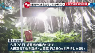 集合住宅で大麻草栽培か　姫路市の男を逮捕
