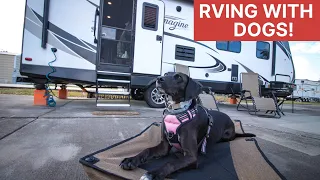 RV LIFE with DOGS! | Our tips and tricks | Full-time RV