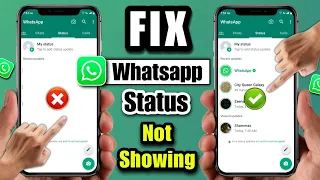 whatsapp status not showing problem 2024 | whatsapp status show nahi ho raha kisi ka