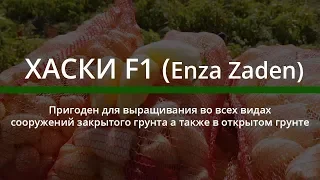 ХАСКИ F1 - неприхотливый белый сладкий перец 🌶