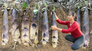 Harvesting Bamboo Shoots Underground Go To Market Sell - Raising Duckling, Chicken & Pig