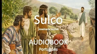 Sulco - AudioBook