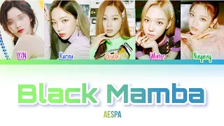 aespa 'BLACK MAMBA' |You As A Member| Cover: 페리's Cover Song Channel