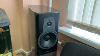 Dynaudio Contour 20, Hegel Rost - Soundtrack Gladiator "Now We Are Free with lyric"