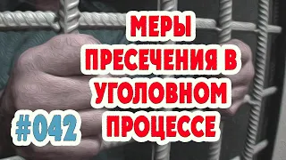 #042 Меры пресечения в уголовном процессе / Важные Вещи / Право