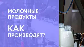 Как производят: Молочные продукты