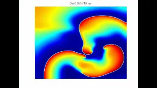 Simulation Modeling of 2D Spiral Waves (2)