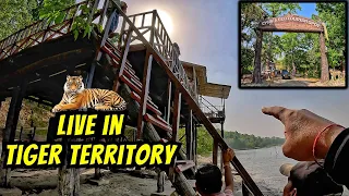 Stay in Tiger Territory in Pilibhit Core Zone | Chuka Beach | Pilibhit Tiger Reserve