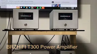 BRZHIFI T300 Class AB Mono Block Power Amplifier Test-1