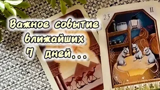 ВАЖНОЕ❗СОБЫТИЕ БЛИЖАЙШИХ 7 ДНЕЙ!...🍀♥️ Гадание Таро