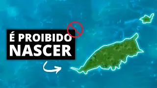 Por que é Proibido Nascer em Fernando de Noronha?